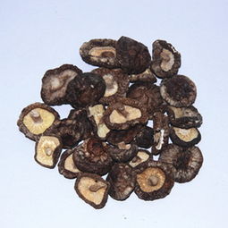 廠家直銷，正宗慶元小香菇 食用菌干貨批發(fā)新選擇